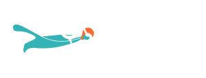 collierlanes white logo